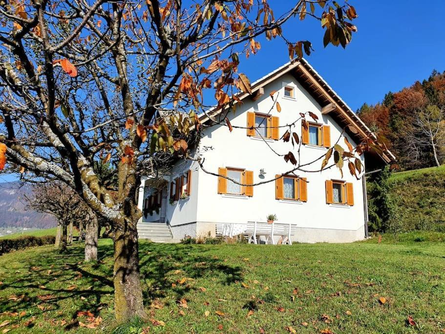 House Pucnk-Beautiful Countryside Villa Zelezniki Exterior photo