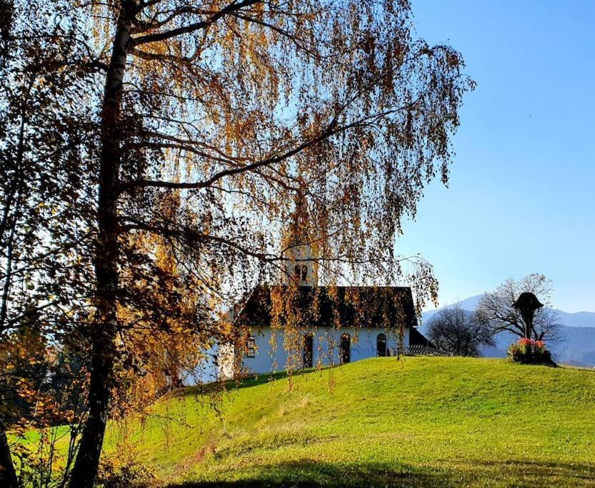 House Pucnk-Beautiful Countryside Villa Zelezniki Exterior photo